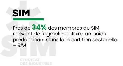 Stat SIM