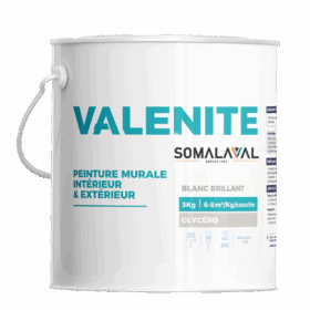 VALENITE VALENITE